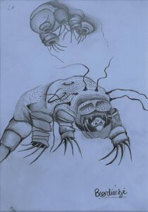 Tekening natuur beestje